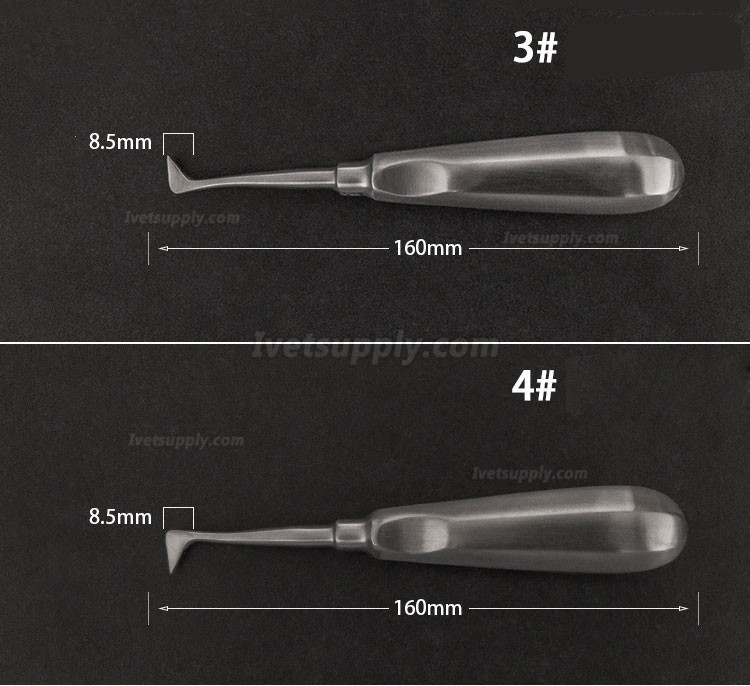 Veterinary Elevators Cat Dog Teeth Extraction Stainless Steel Minimally Invasive Elevators